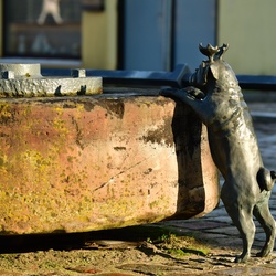 2026-01-08 Brandenburg an der Havel/Waldmöpse/DSC_2276.JPG